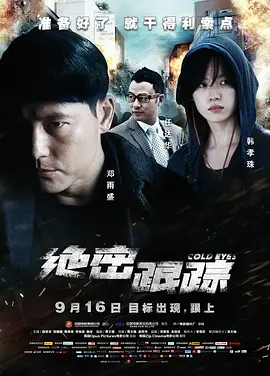 绝密跟踪 (2013)