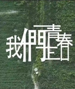 我们正青春 (2025)